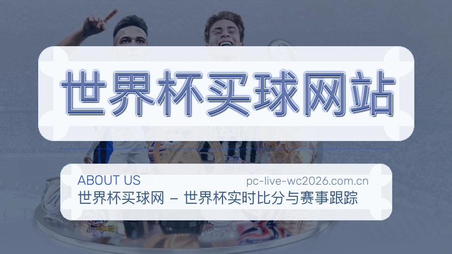  世界杯买球网站品牌介绍